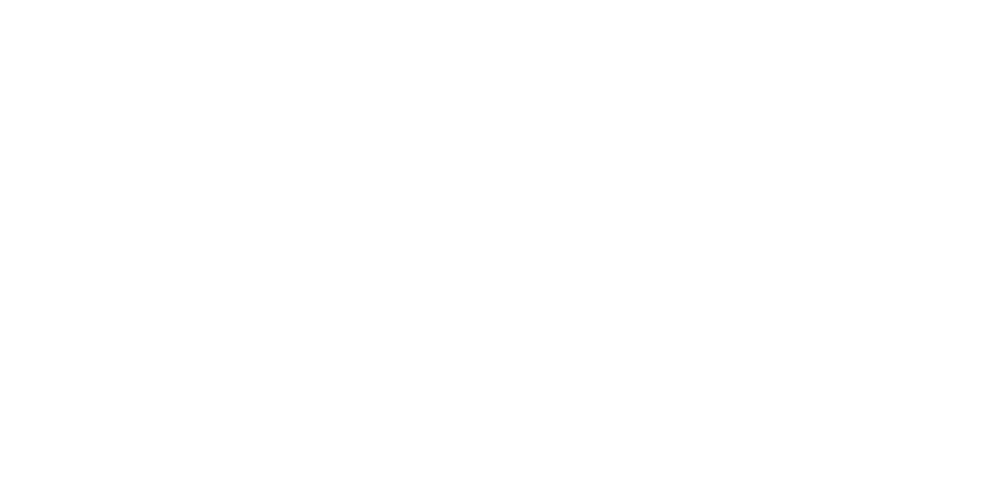 SES Logo